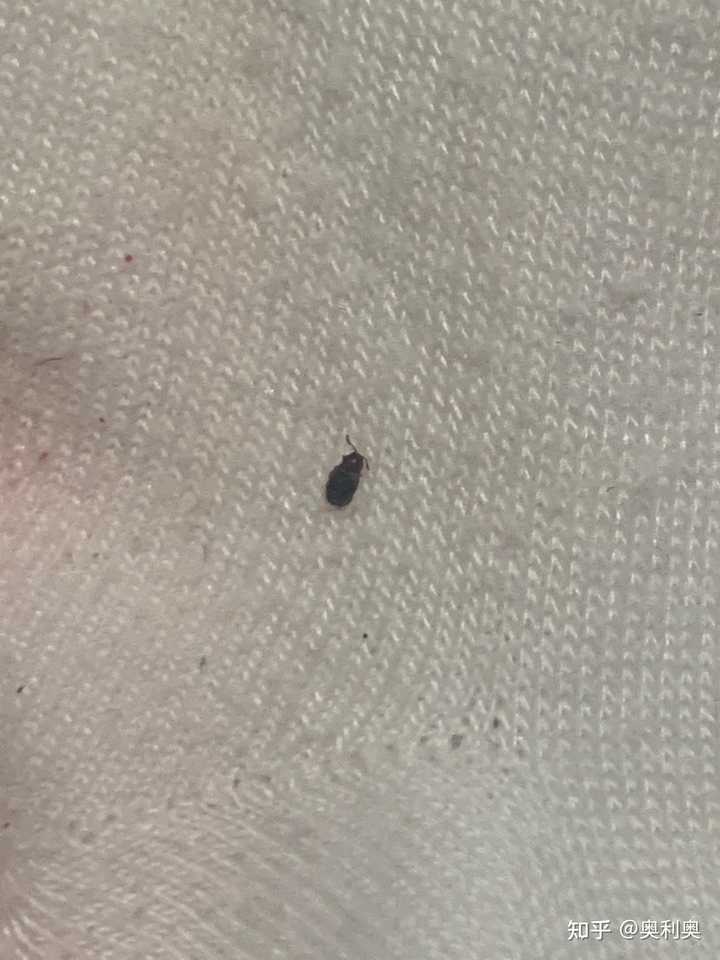 最新资讯 第76页