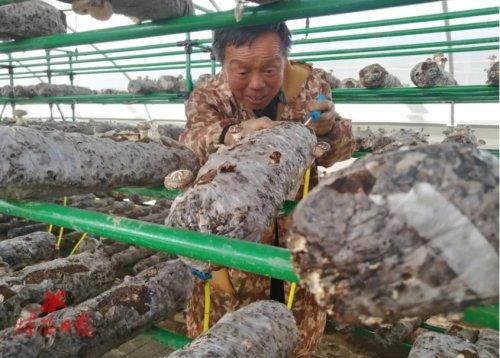 娱乐生活 第33页